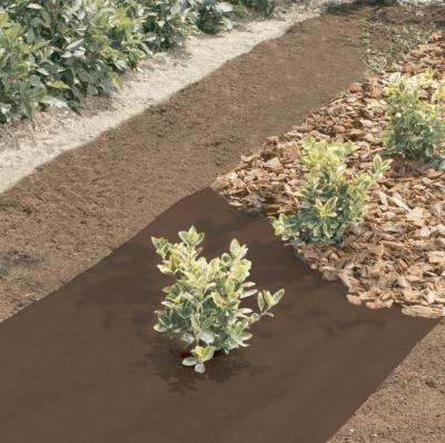 GEOTEX ANTI HERBES - 1.60M X 5M