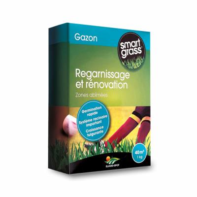 GAZON REGARNISSAGE - 1 KG