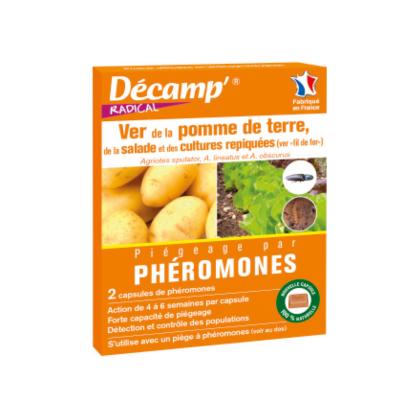 PHEROMONE - VER FIL DE FER