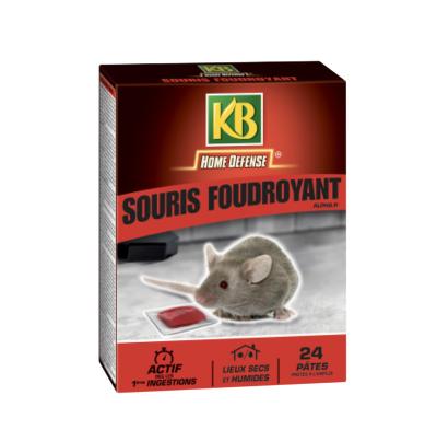 SOURICIDE FOUDROYANT - BOÎTE DE 240 G