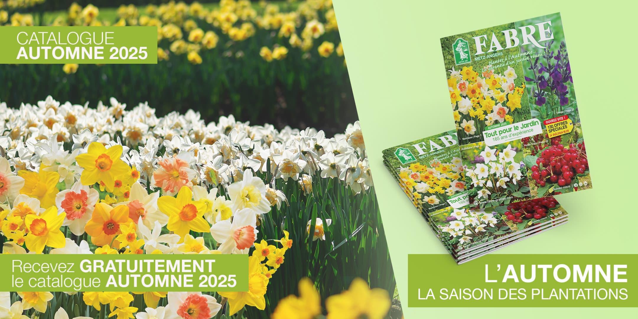 Catalogue Printemps 2025 de Fabre Graines