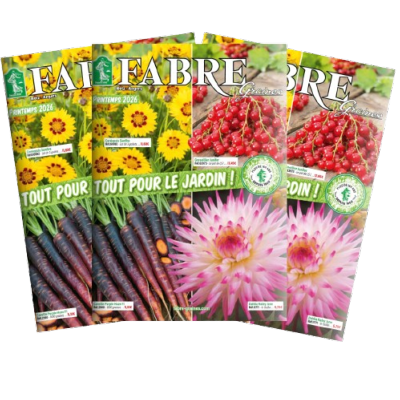 Le catalogue Automne 2025